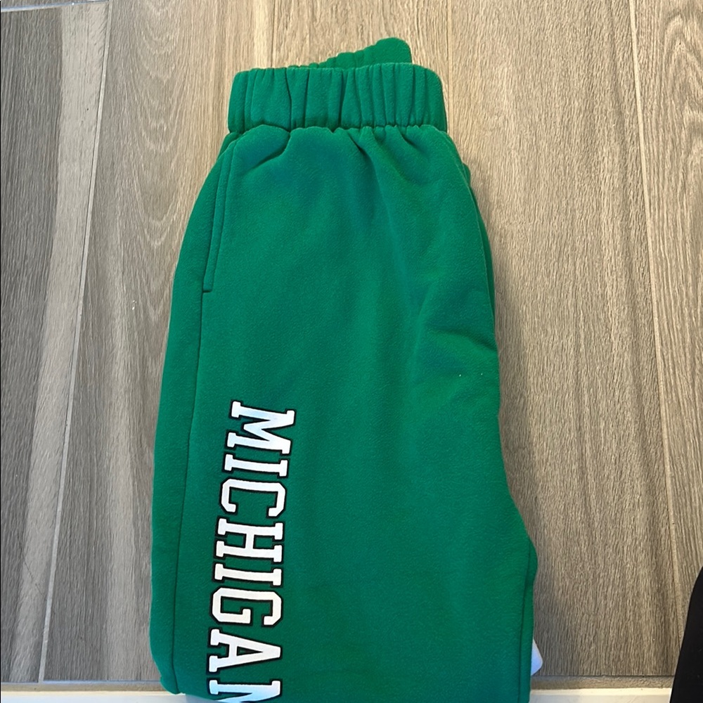 Michigan State Hype and Vice Sweatpants